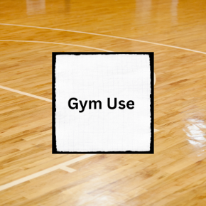 basketball court floor with icon in the middle
